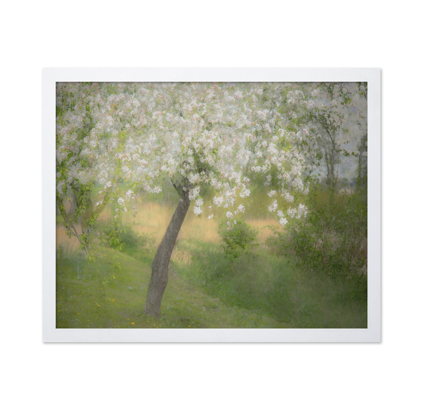 Blossoming Garden Tree