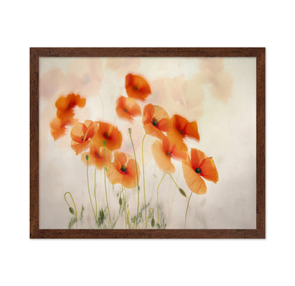 Orange Poppies Field