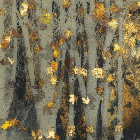 Golden Autumn Leaves