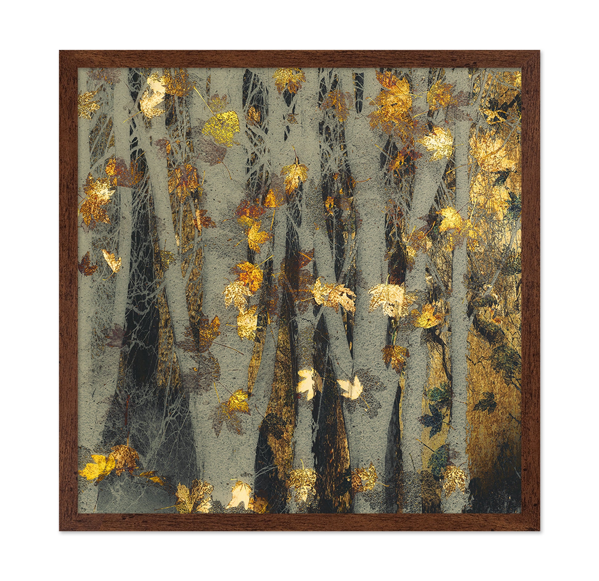 Golden Autumn Leaves