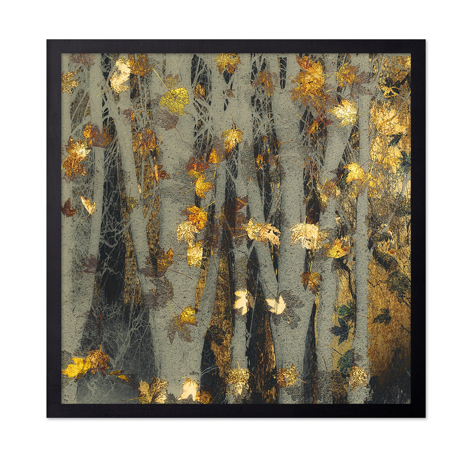 Golden Autumn Leaves