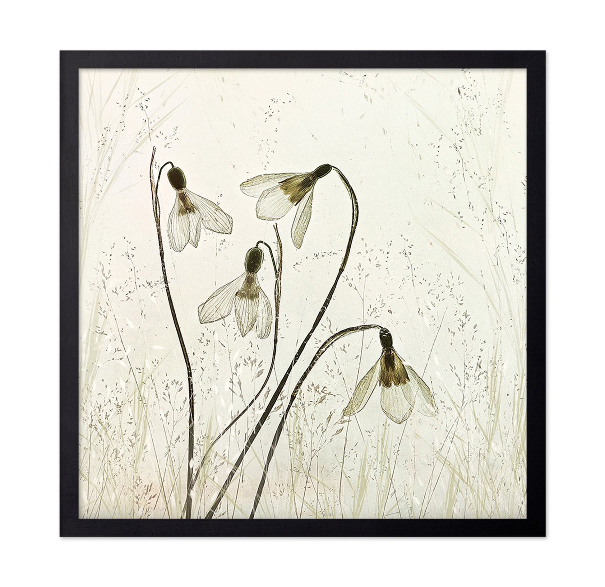 Vintage Snowdrop Flowers