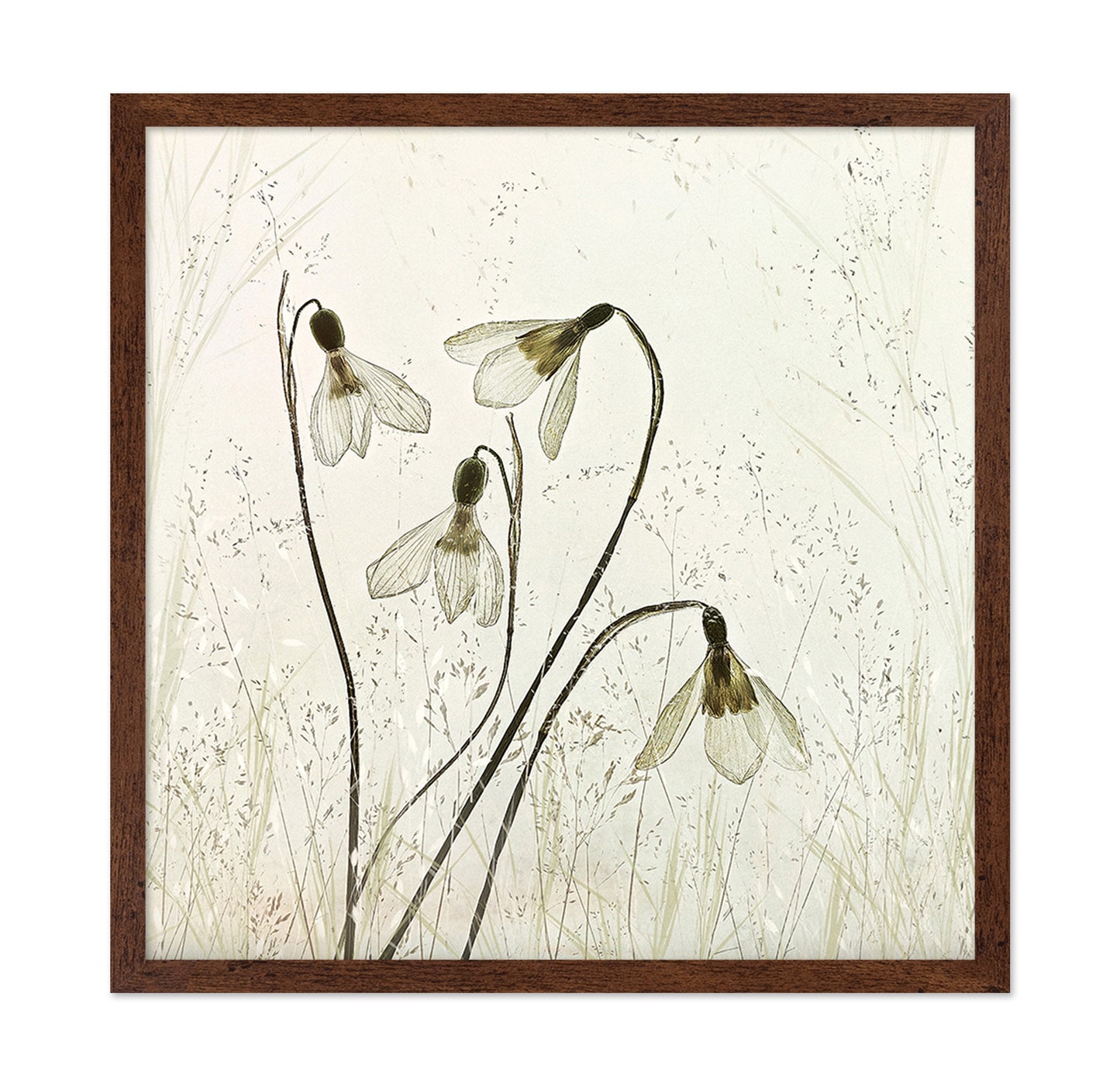 Vintage Snowdrop Flowers