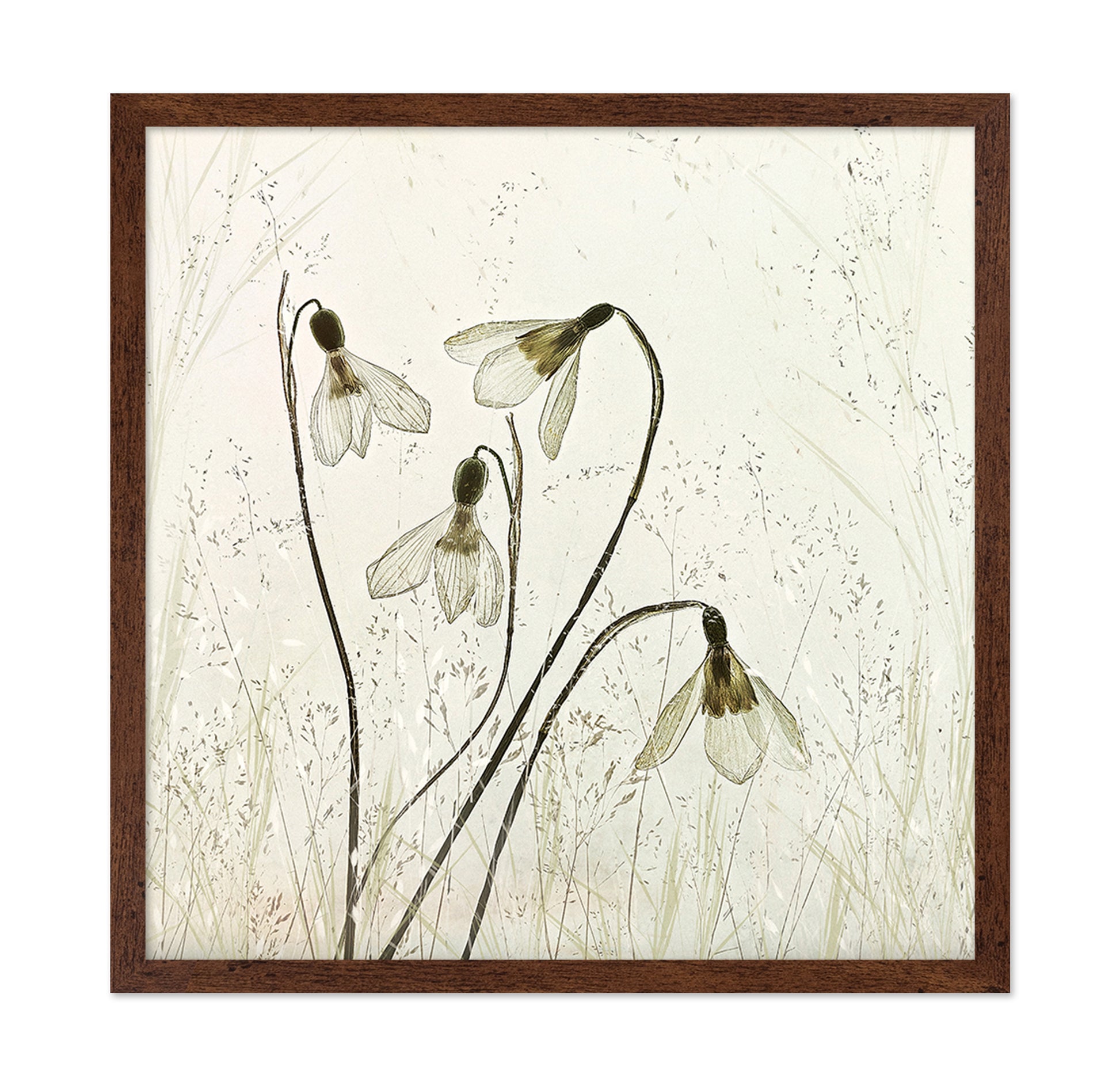 Vintage Snowdrop Flowers