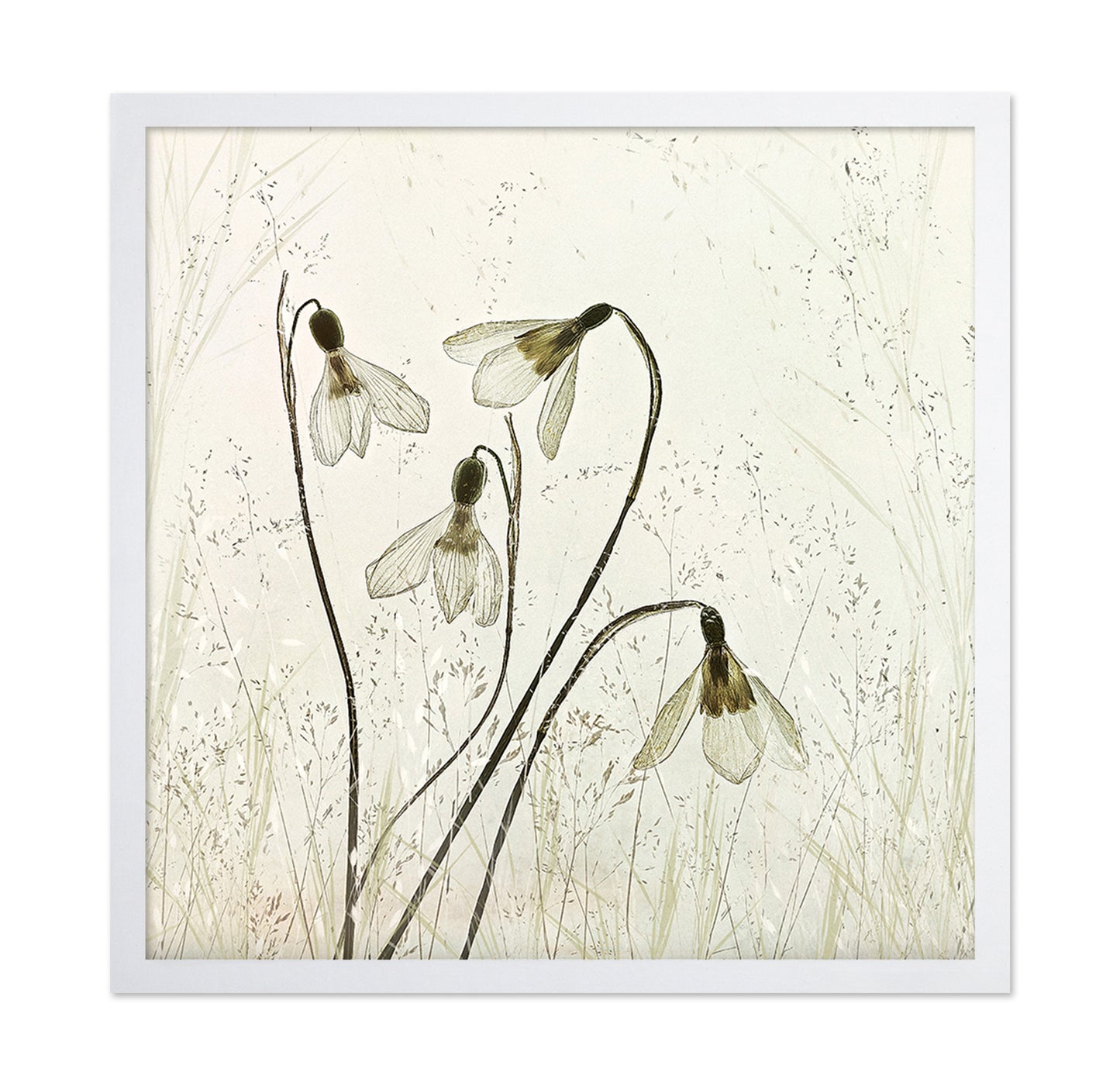 Vintage Snowdrop Flowers