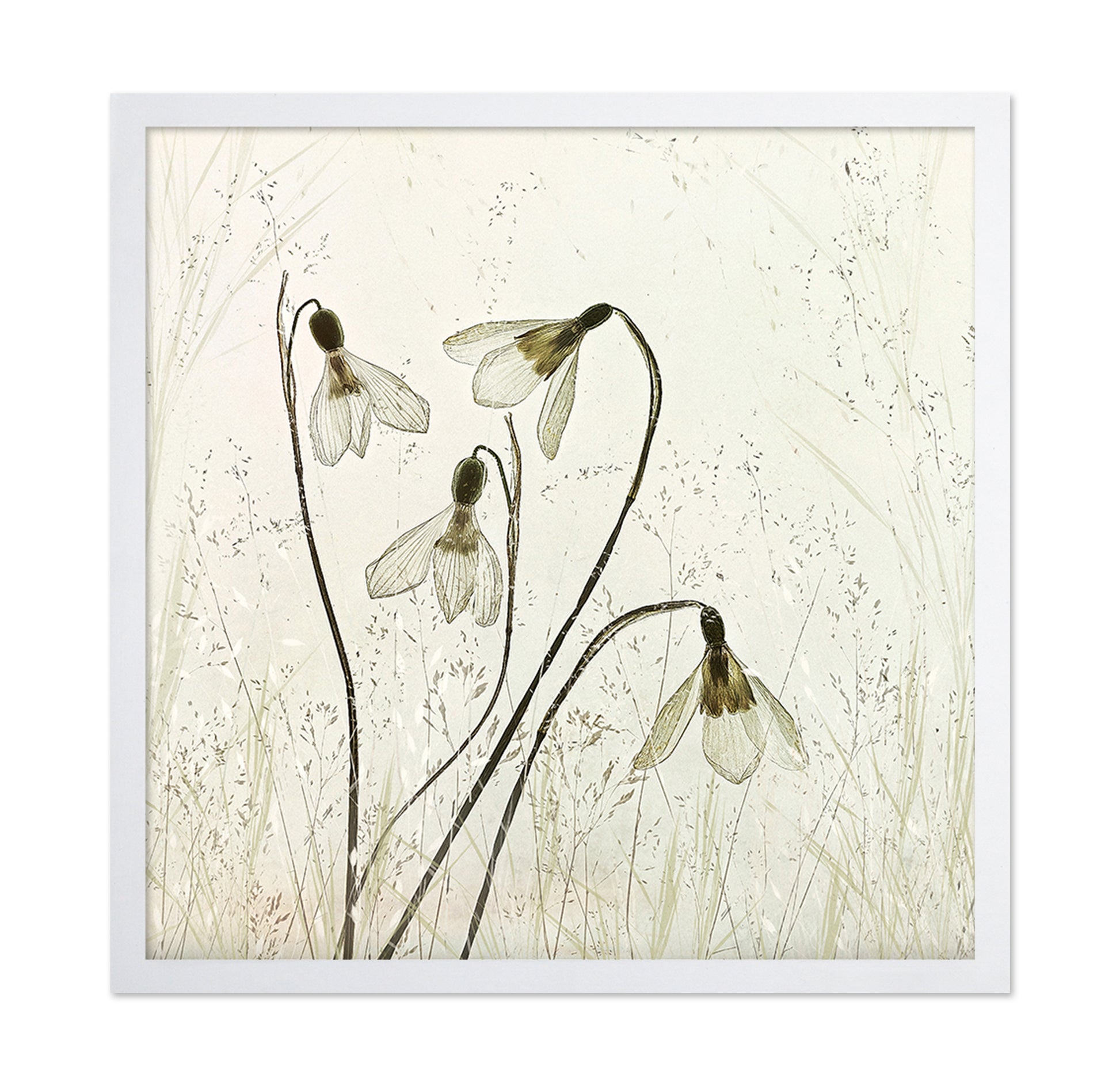 Vintage Snowdrop Flowers