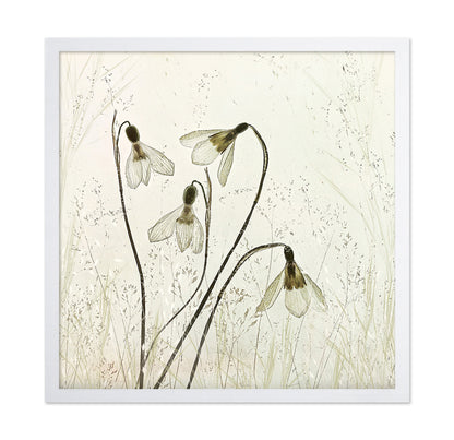 Vintage Snowdrop Flowers