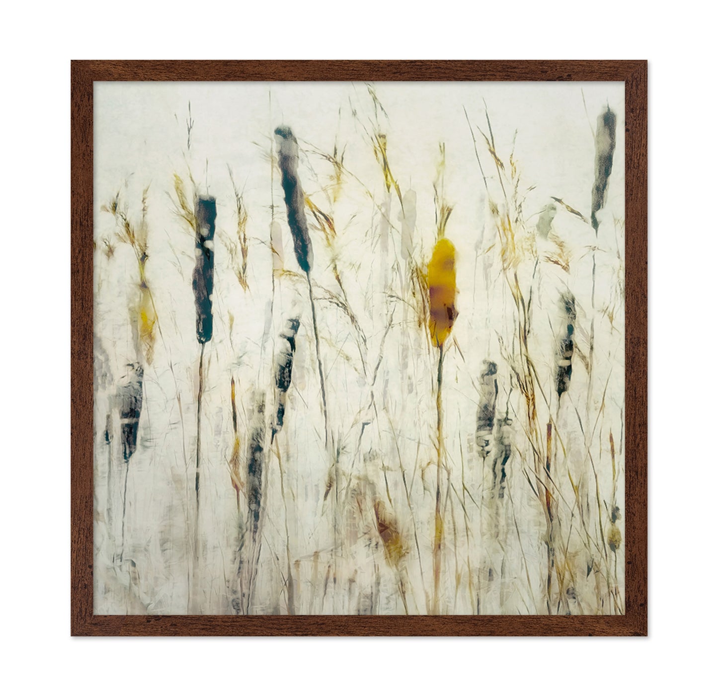 Soft Marsh Reeds