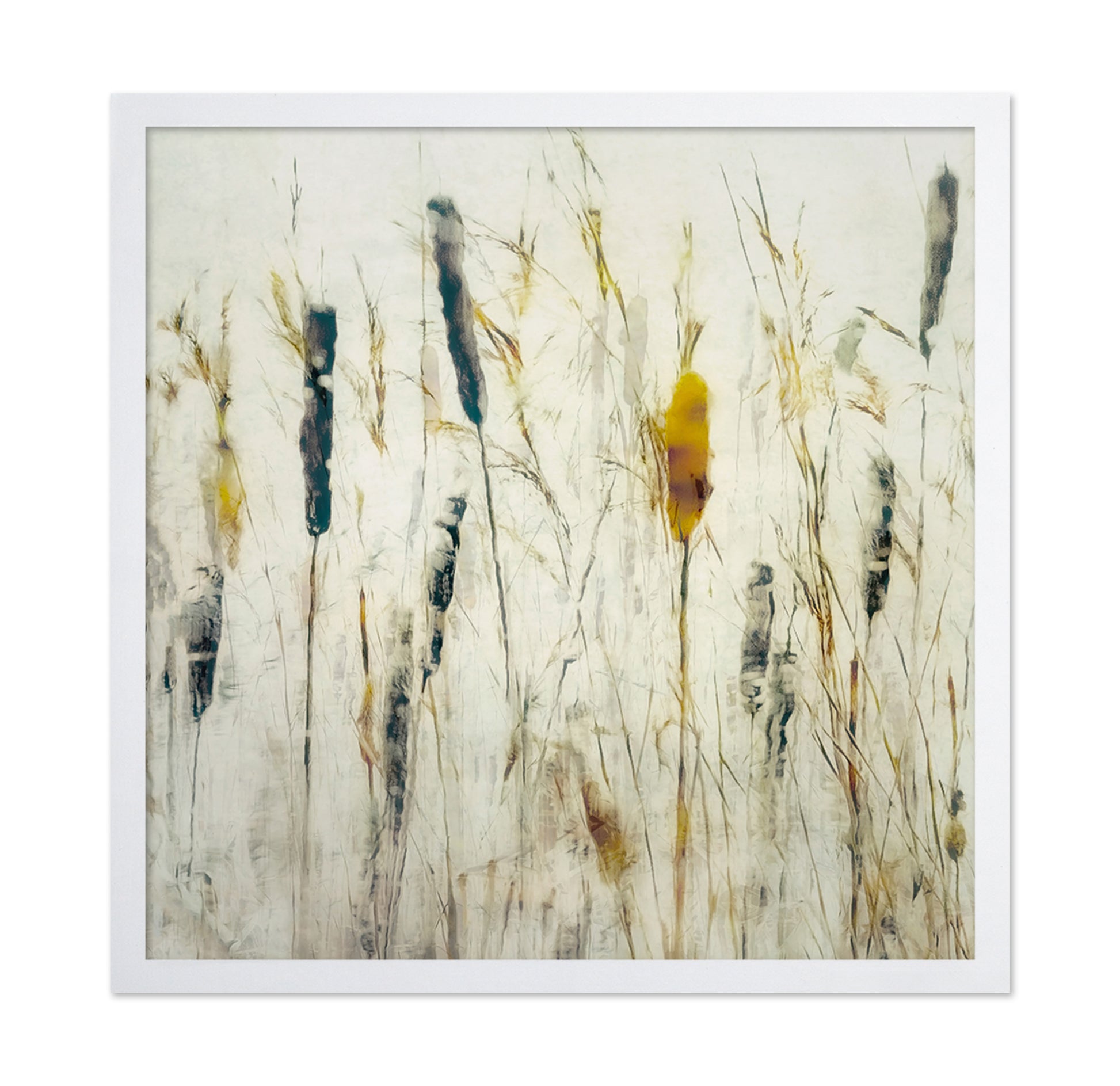 Soft Marsh Reeds