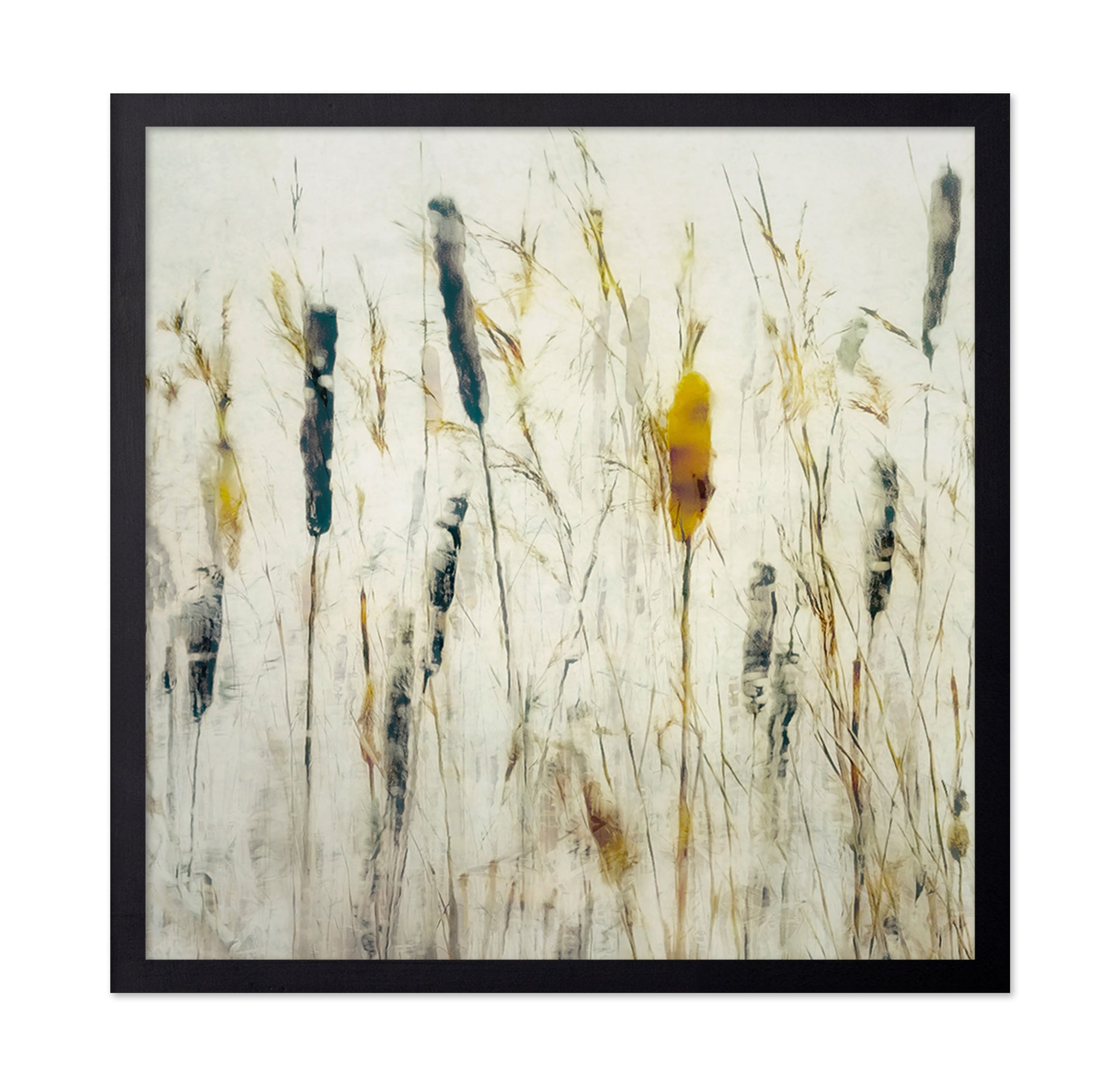 Soft Marsh Reeds