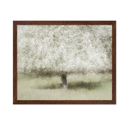Blooming Orchard Tree