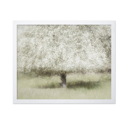 Blooming Orchard Tree