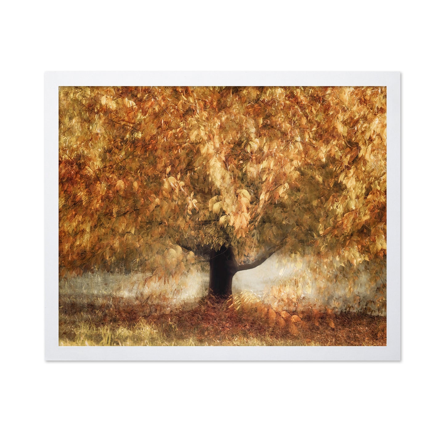 Golden Autumn Tree