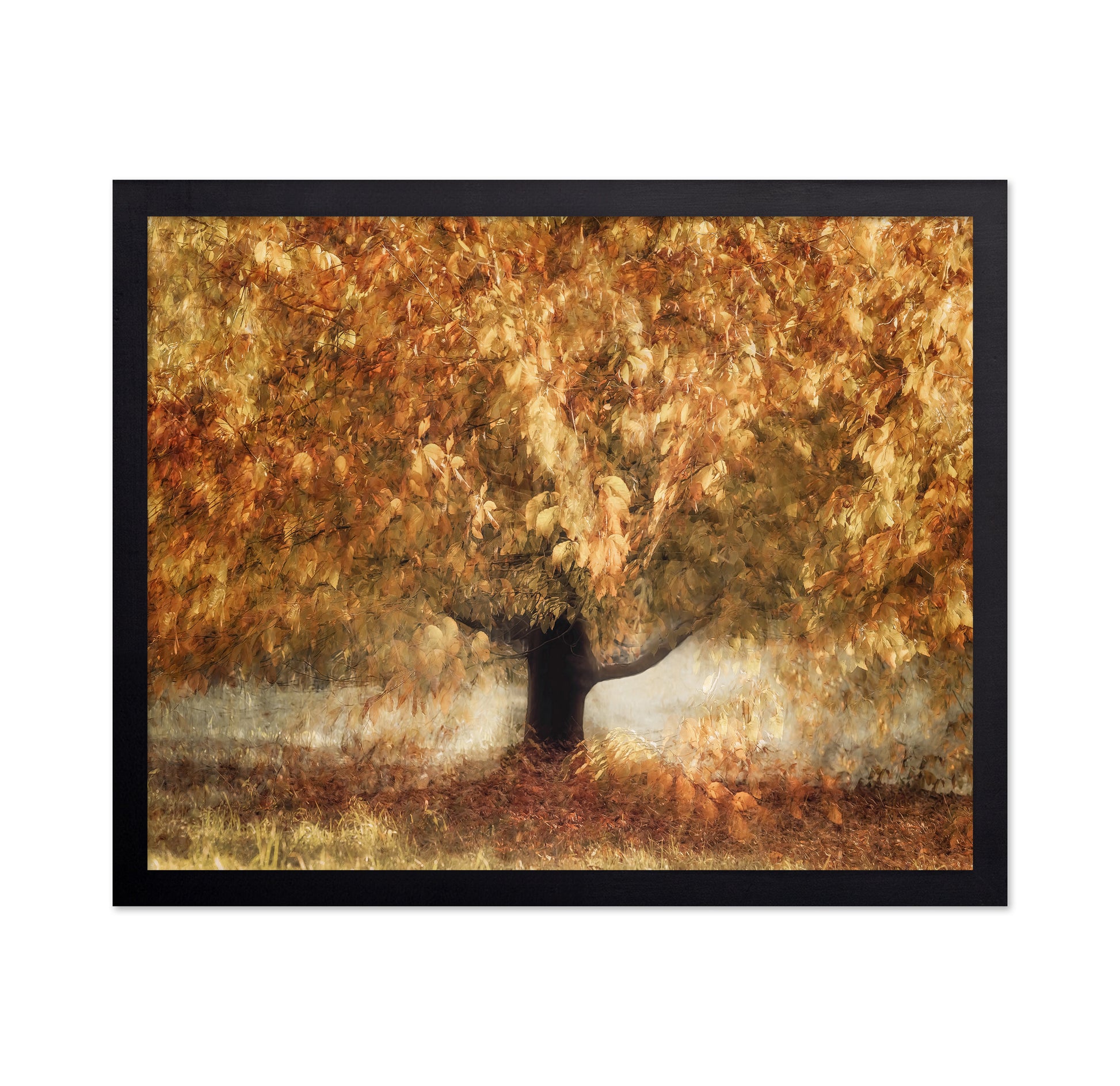 Golden Autumn Tree