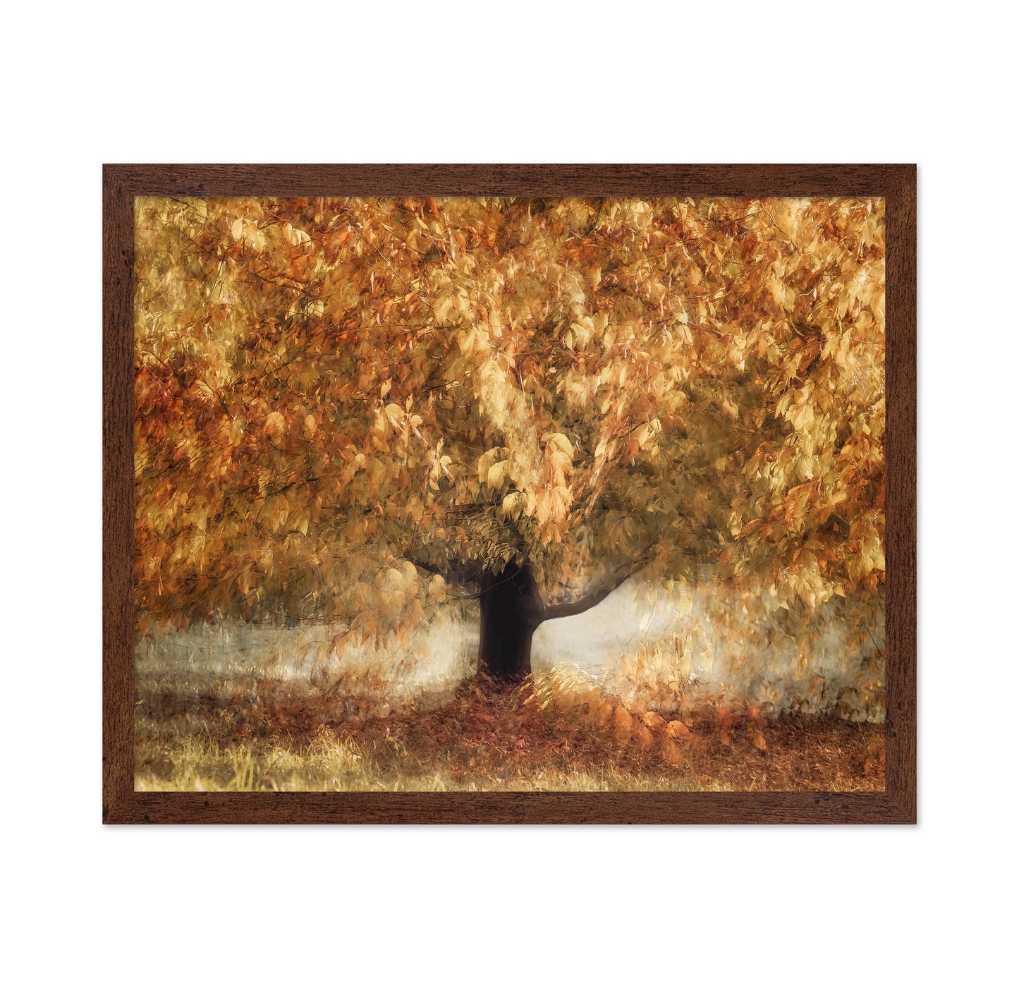 Golden Autumn Tree
