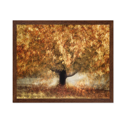 Golden Autumn Tree