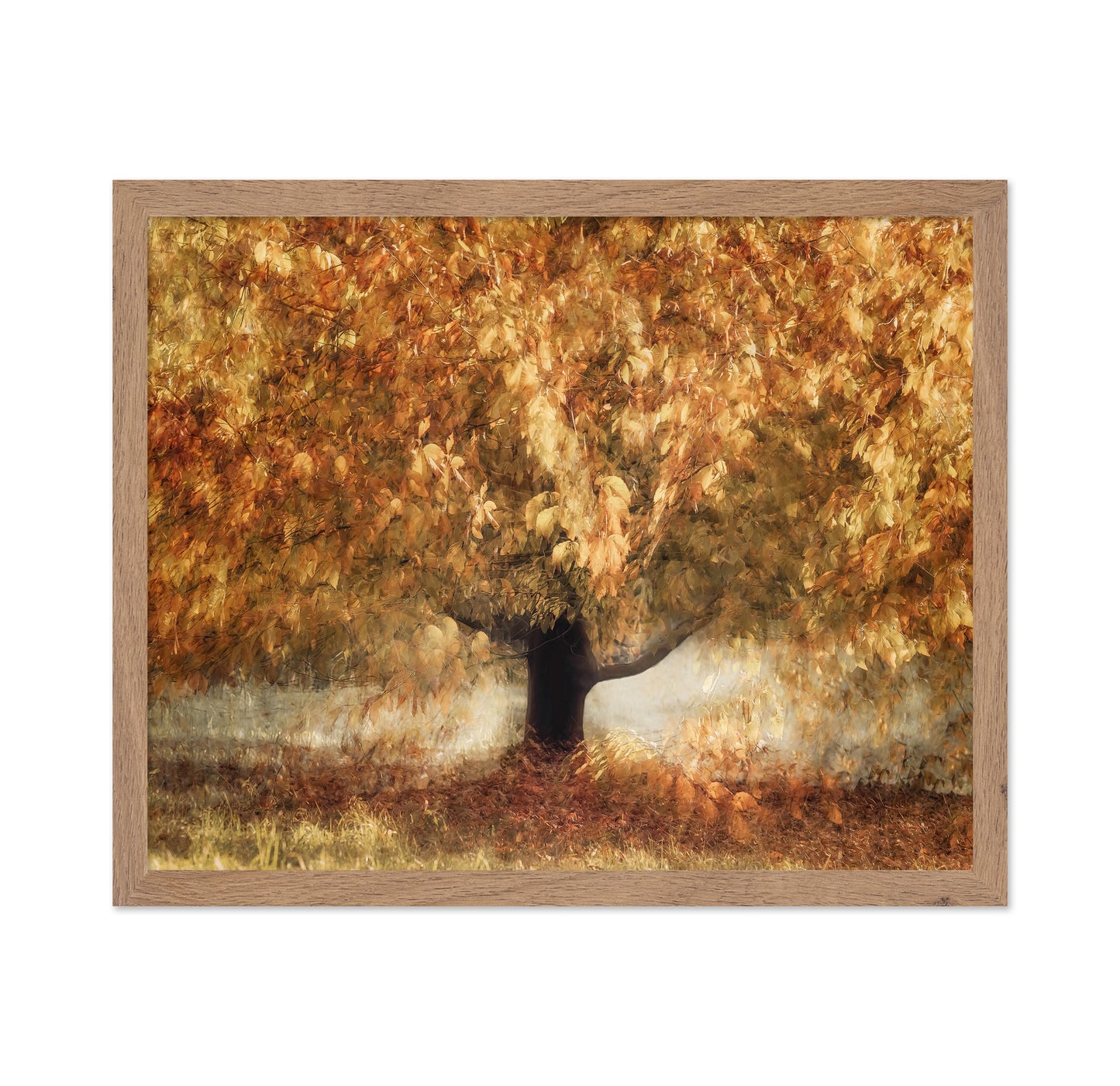 Golden Autumn Tree