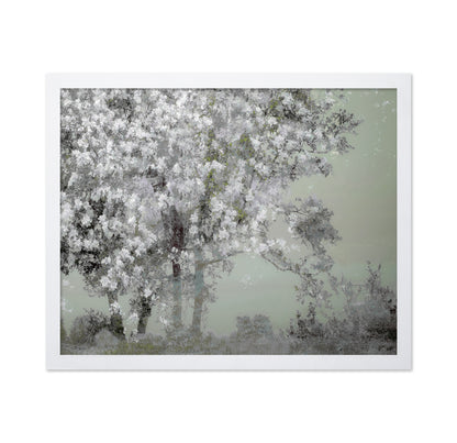 White Blossom Tree