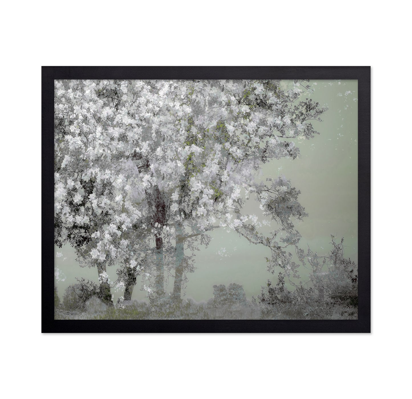 White Blossom Tree