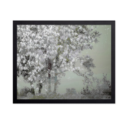 White Blossom Tree