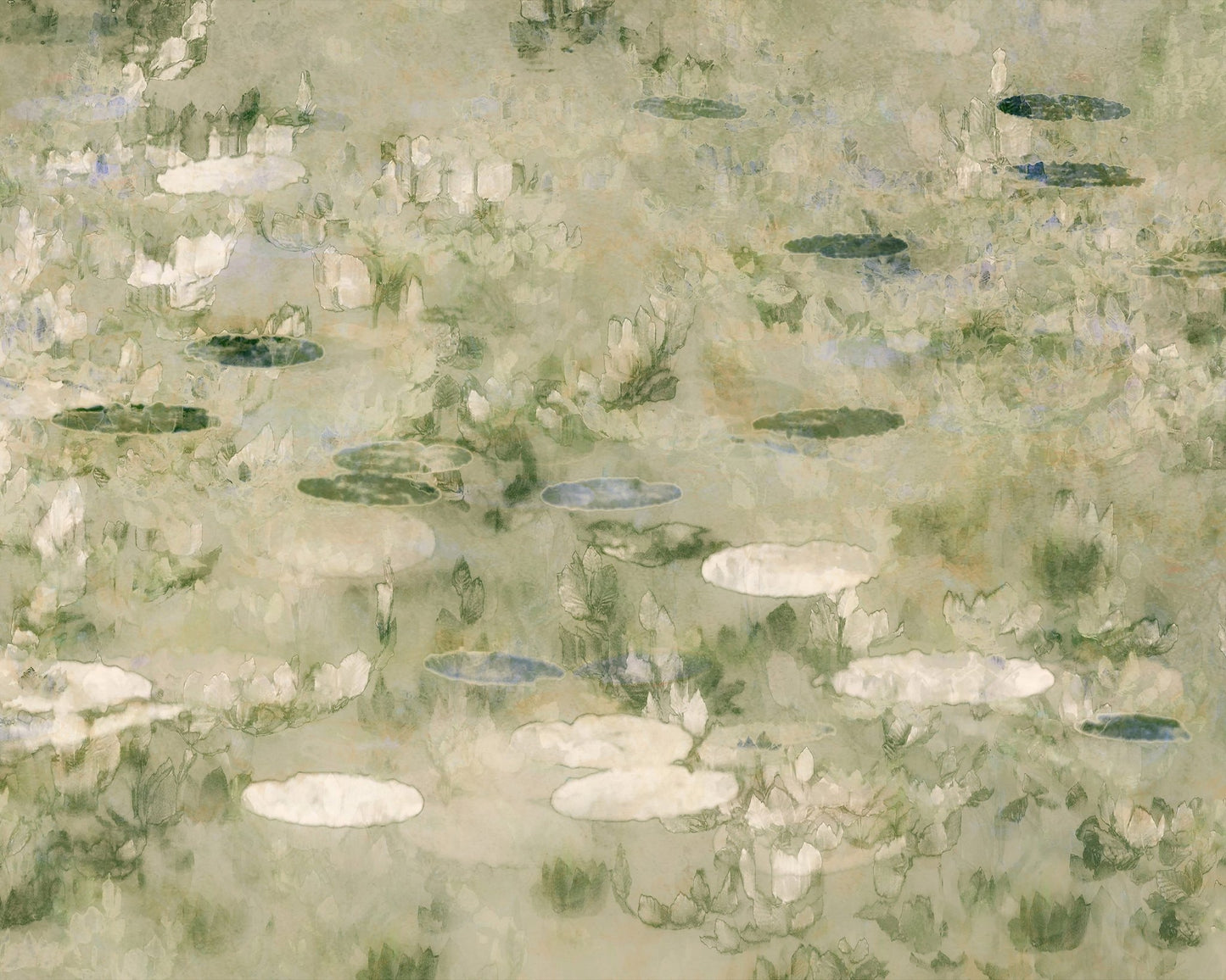 Water Lily Pond