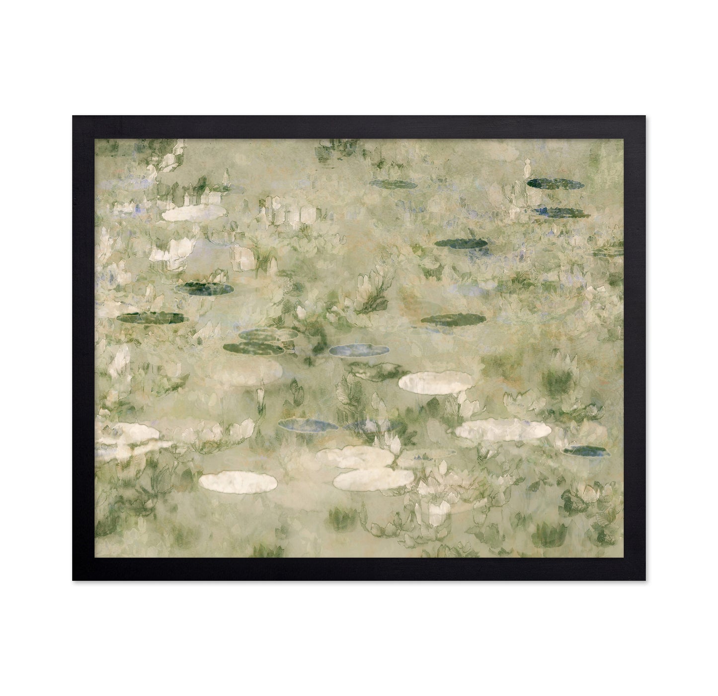Water Lily Pond