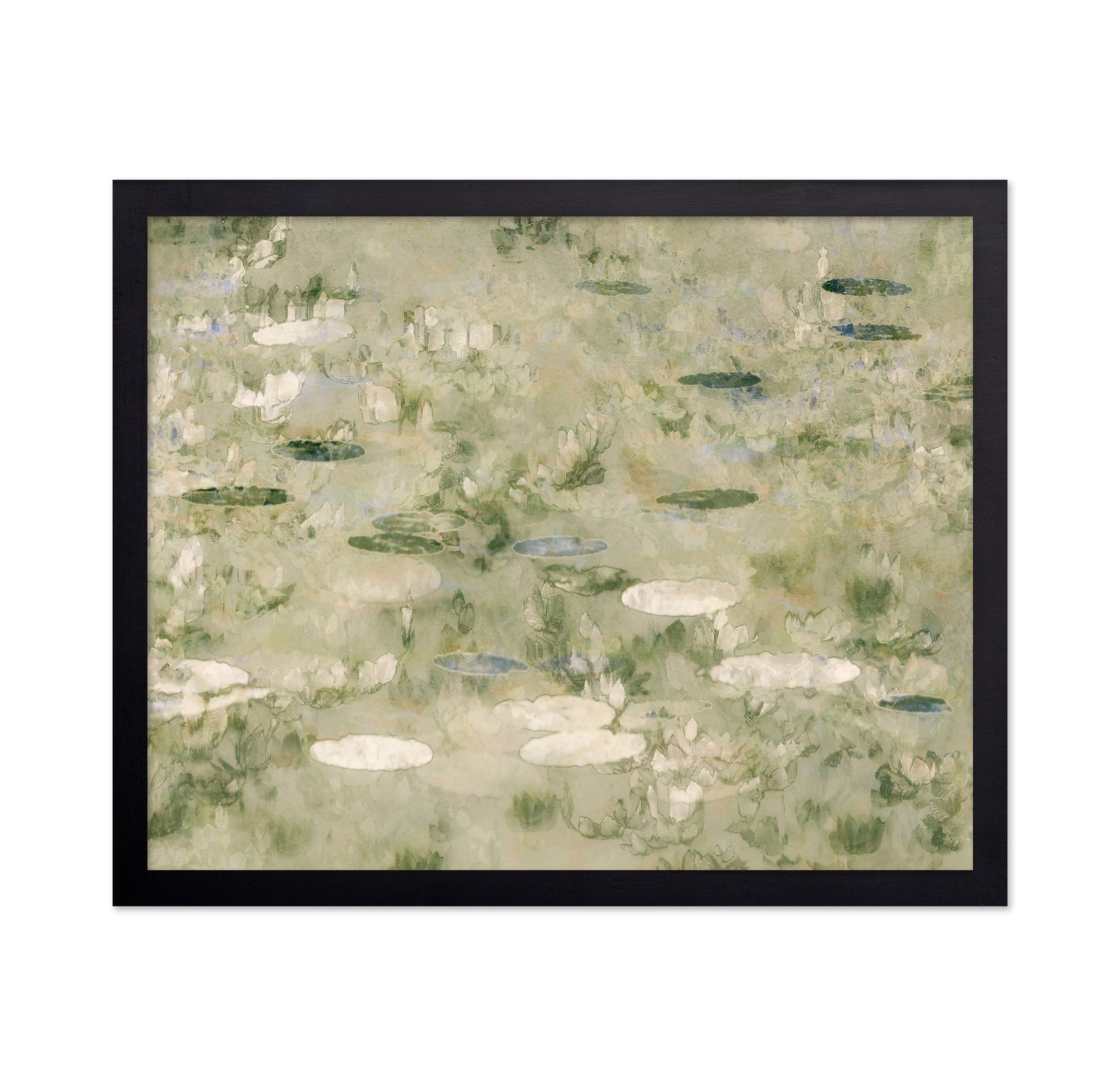 Water Lily Pond