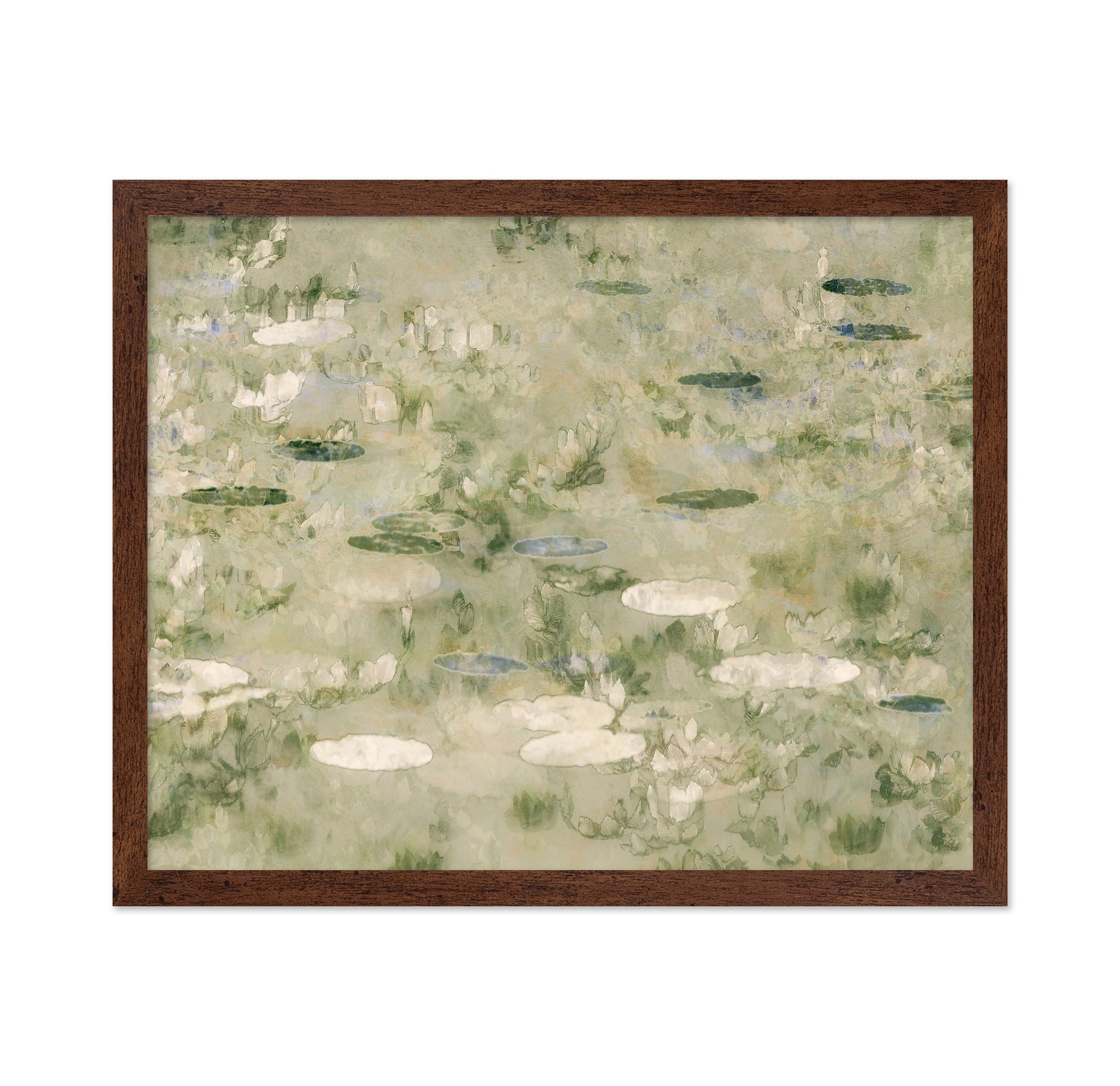 Water Lily Pond