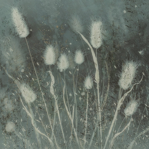 Wild Meadow Grasses