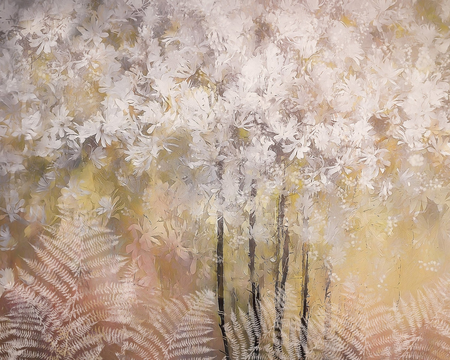 Soft Blossom Forest