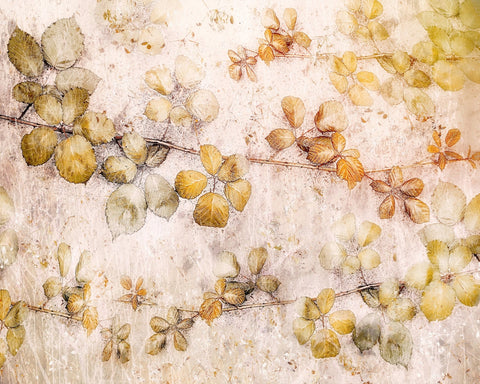 Autumn Leaves Pattern