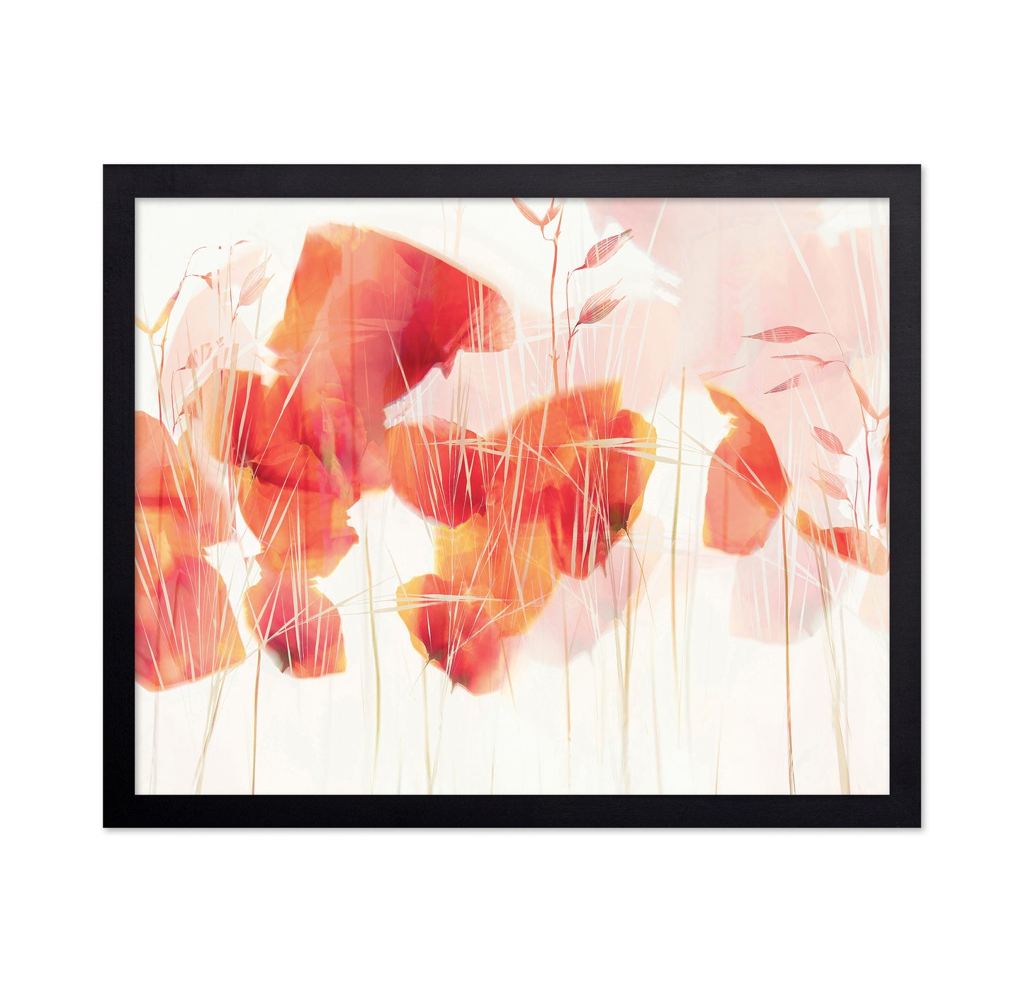 Abstract Poppy Glow