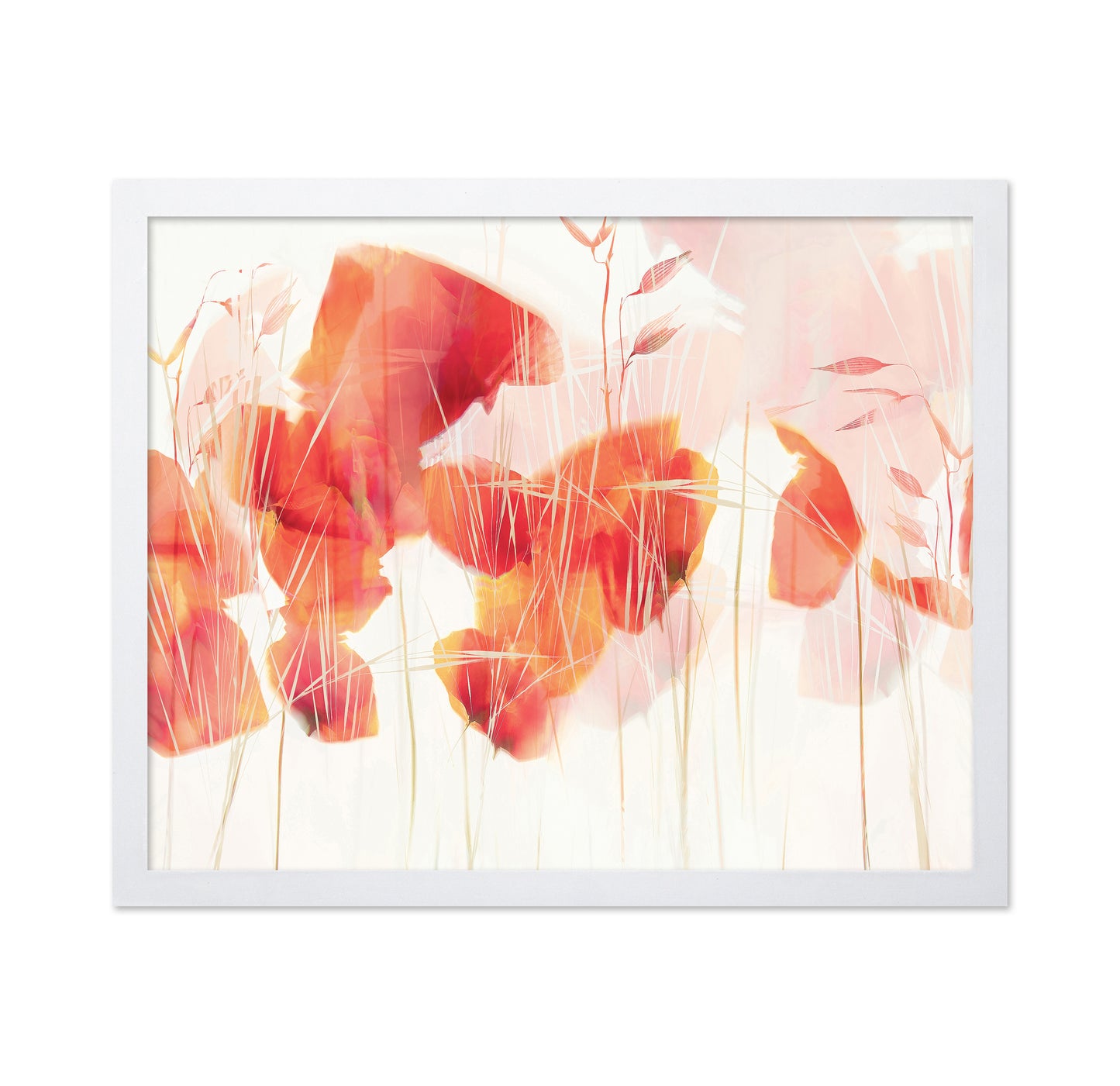 Abstract Poppy Glow