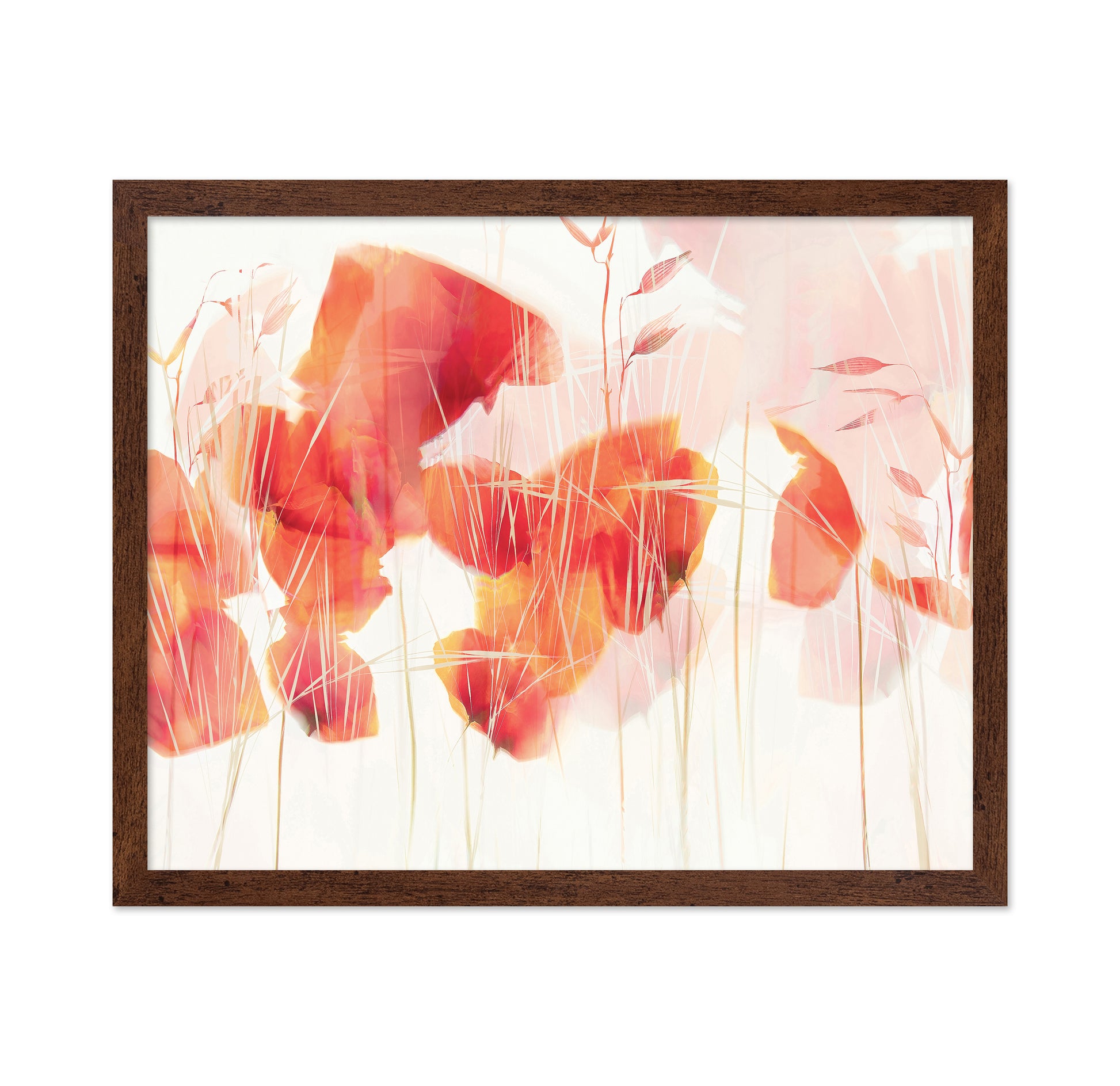 Abstract Poppy Glow