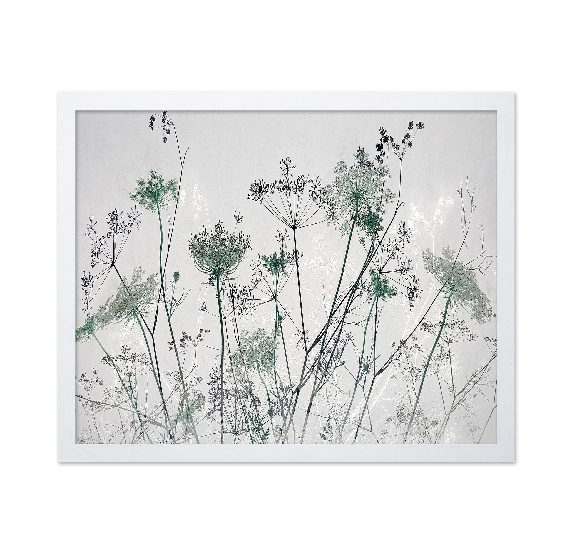 Wildflower Silhouette No1
