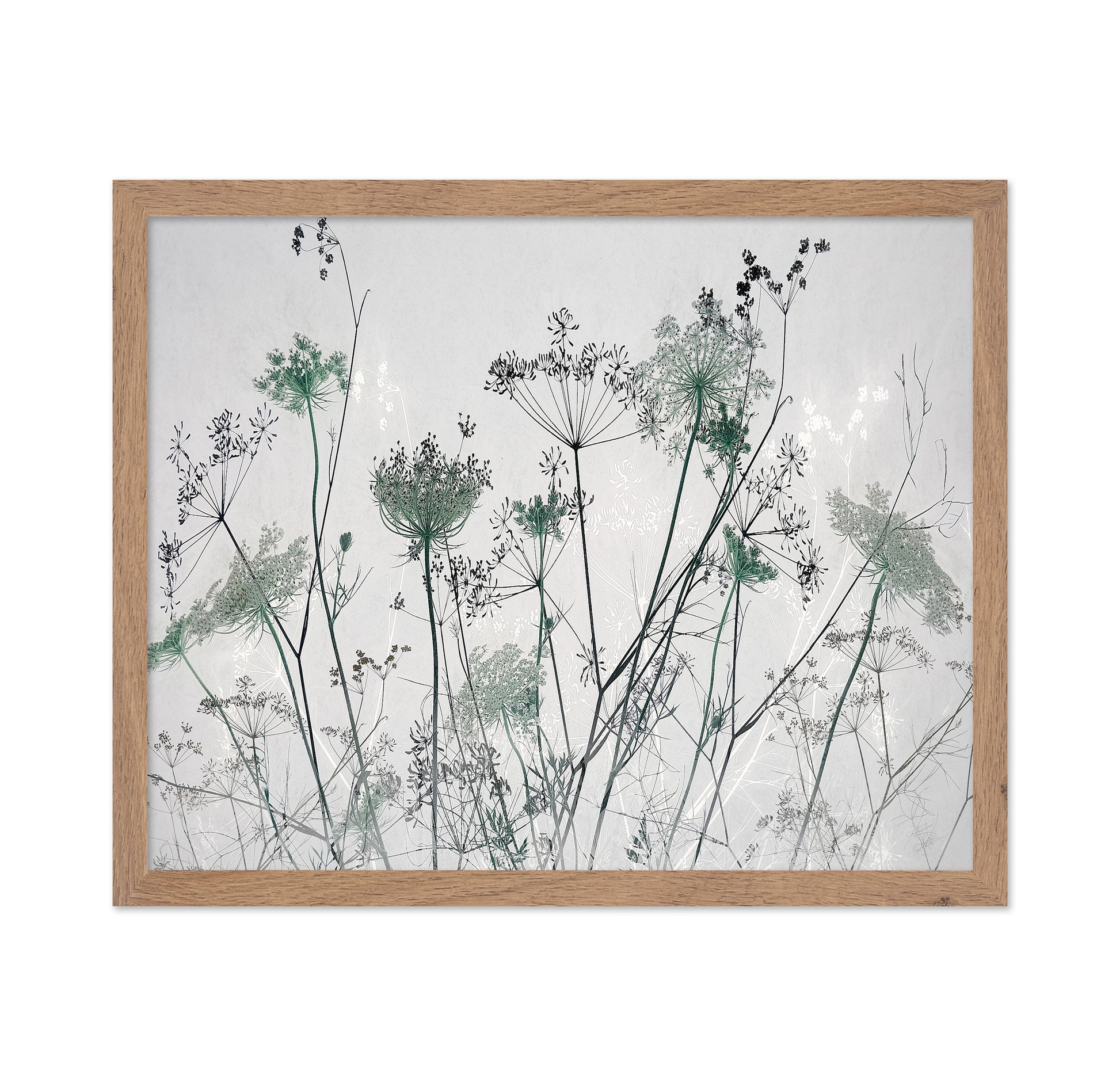 Wildflower Silhouette No1