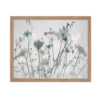 Wildflower Silhouette No1