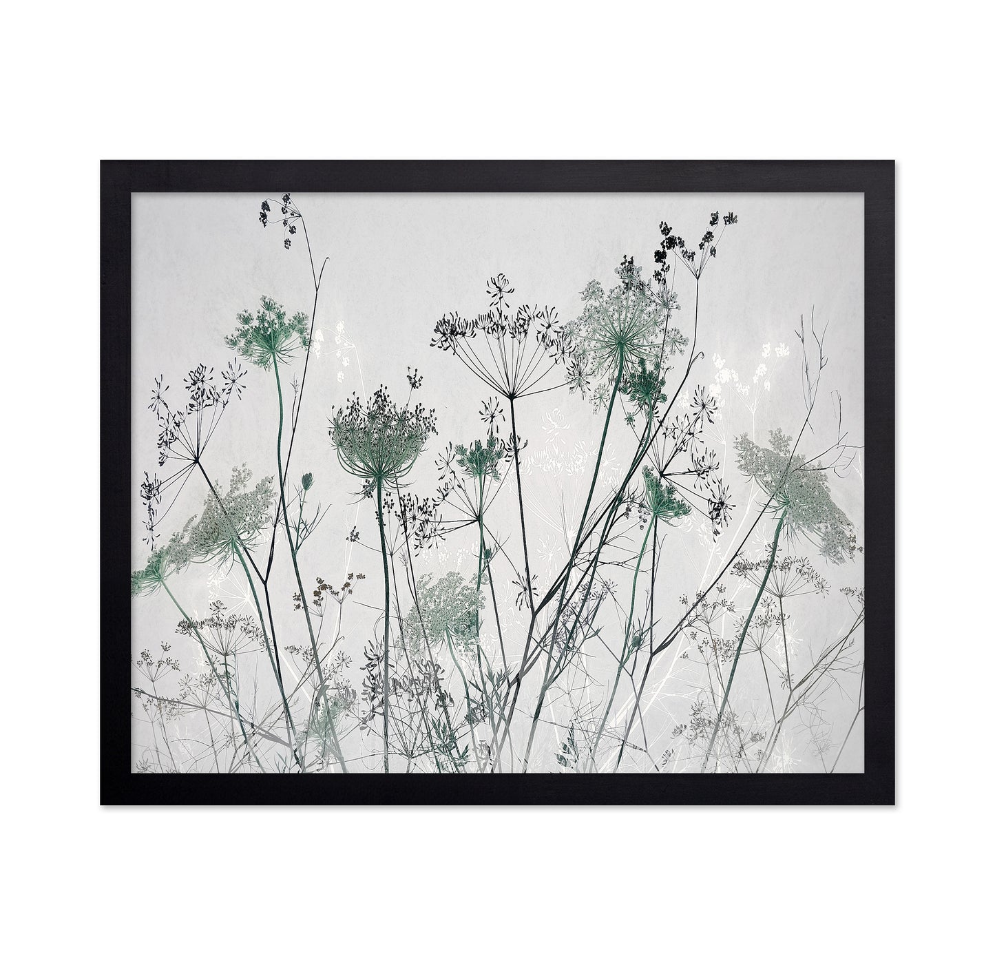 Wildflower Silhouette No1