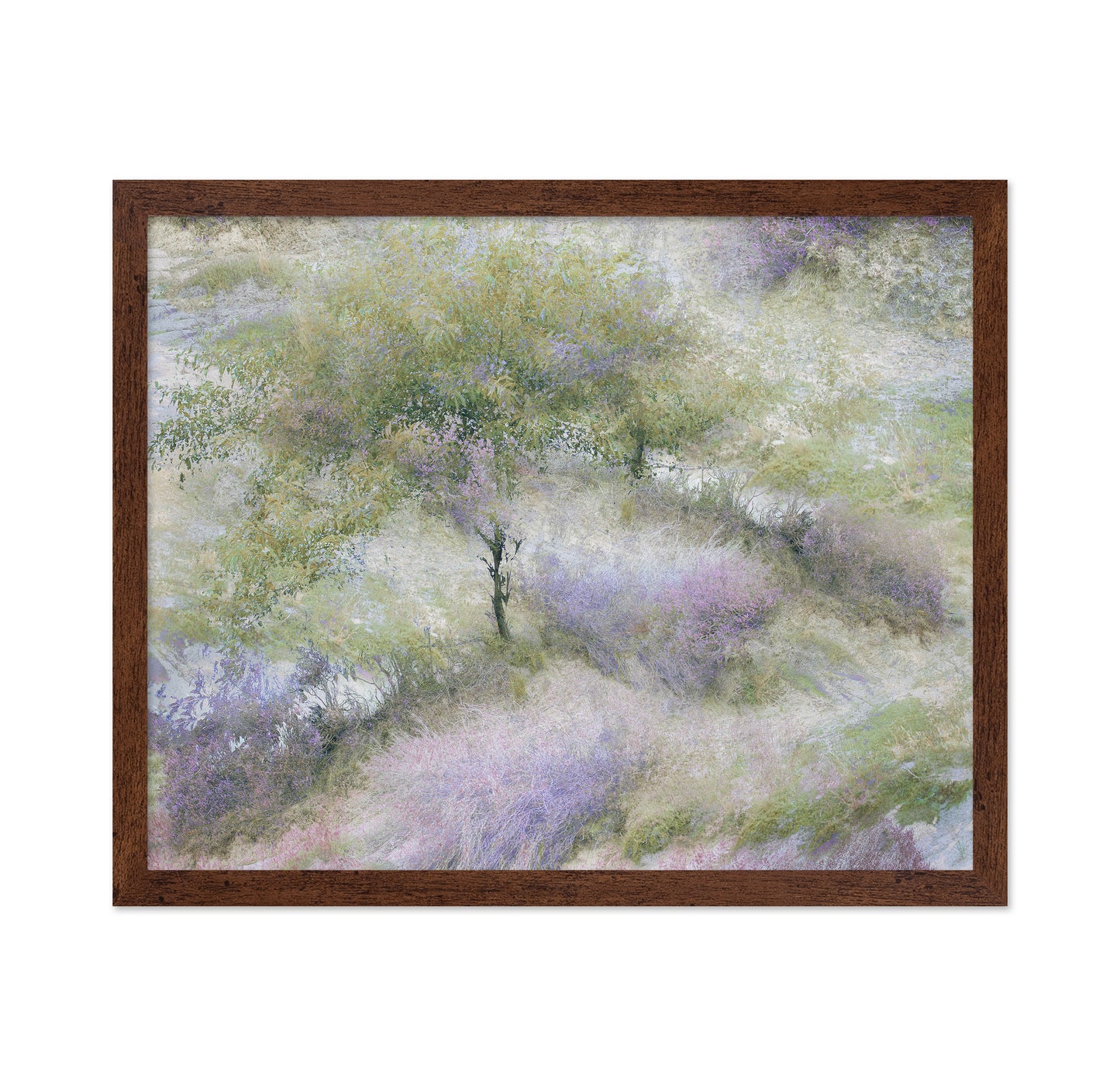 Heather Field Dream
