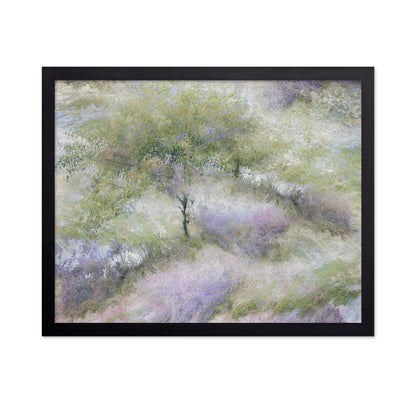 Heather Field Dream