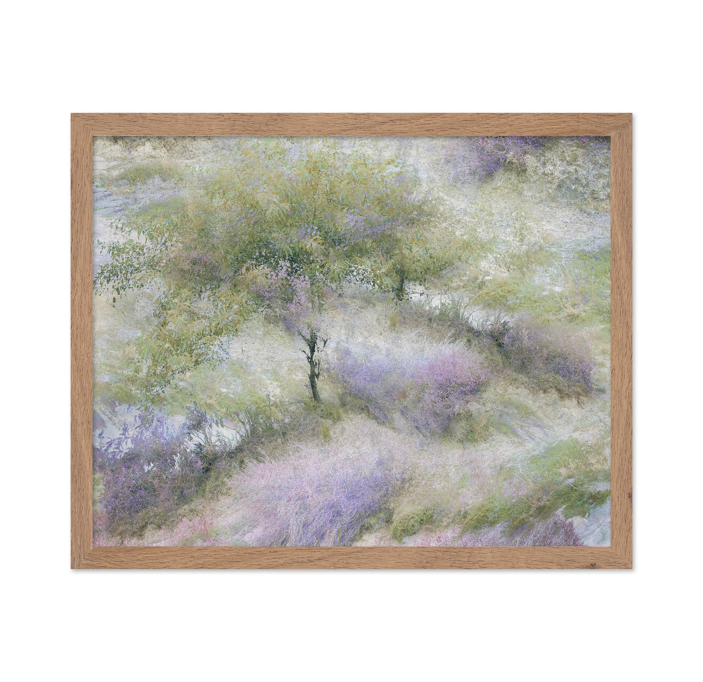 Heather Field Dream