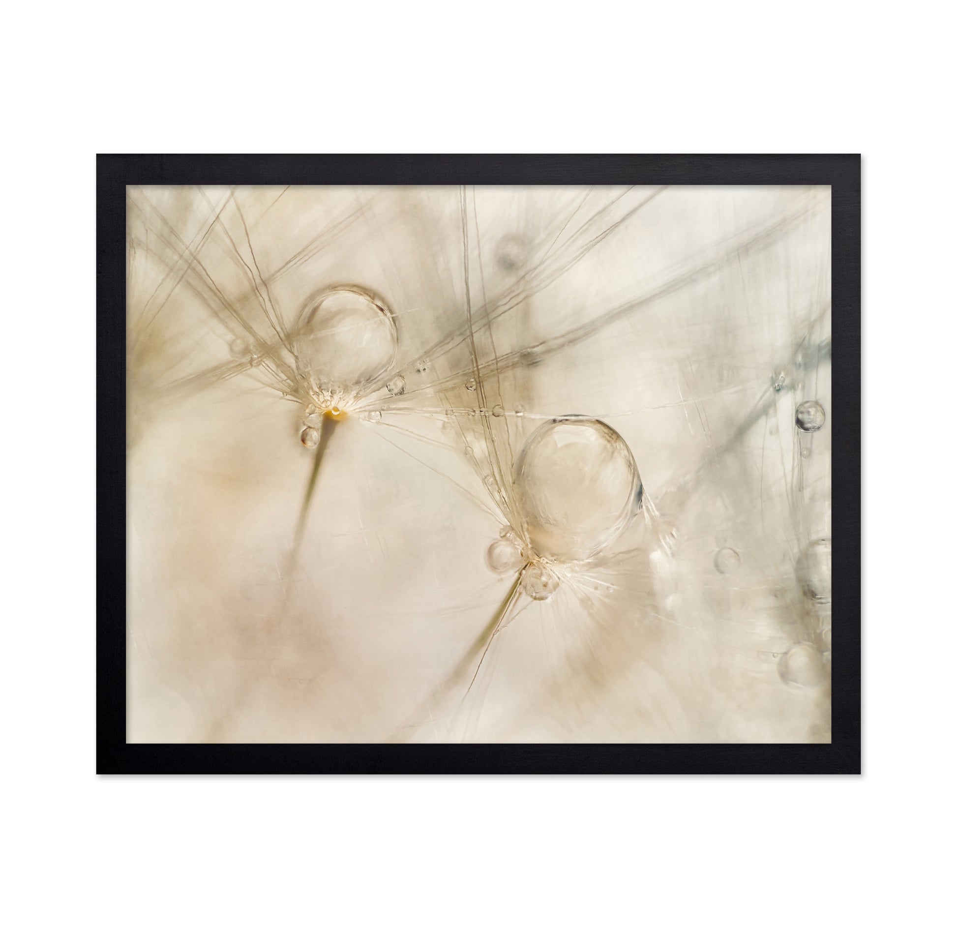 Dew Drop Details