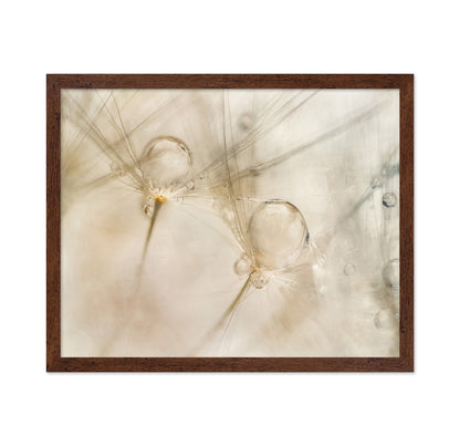 Dew Drop Details