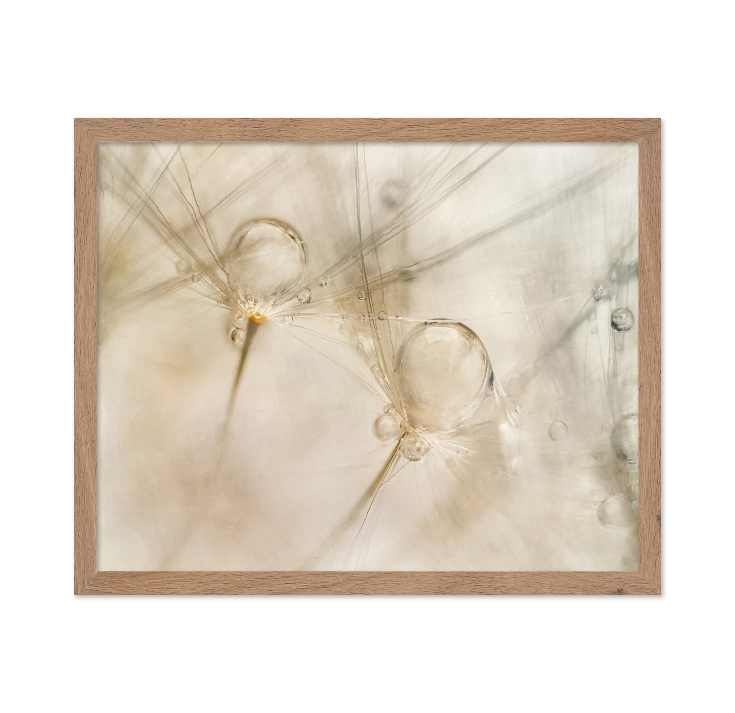 Dew Drop Details