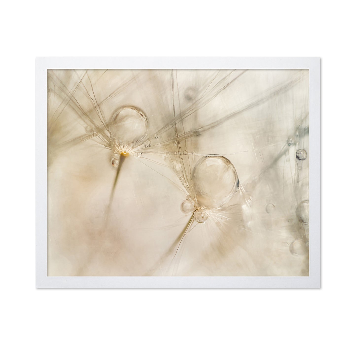 Dew Drop Details