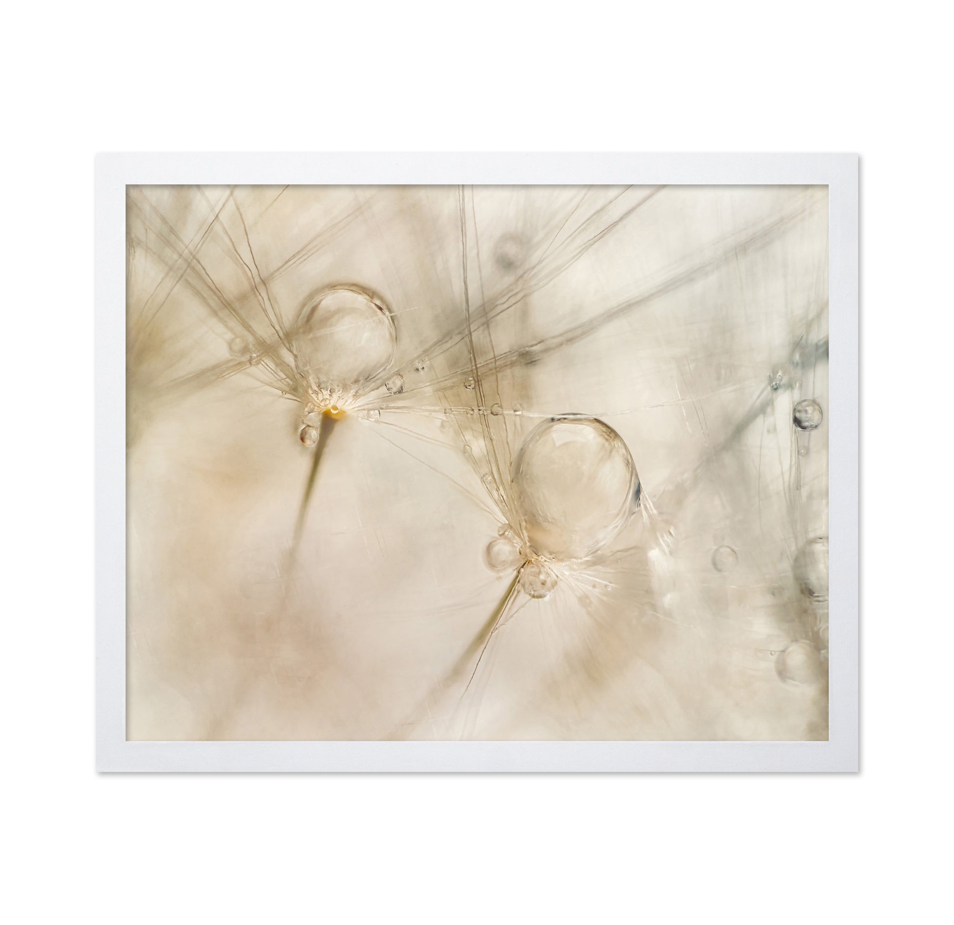 Dew Drop Details