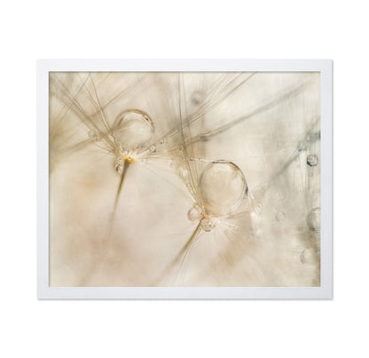 Dew Drop Details