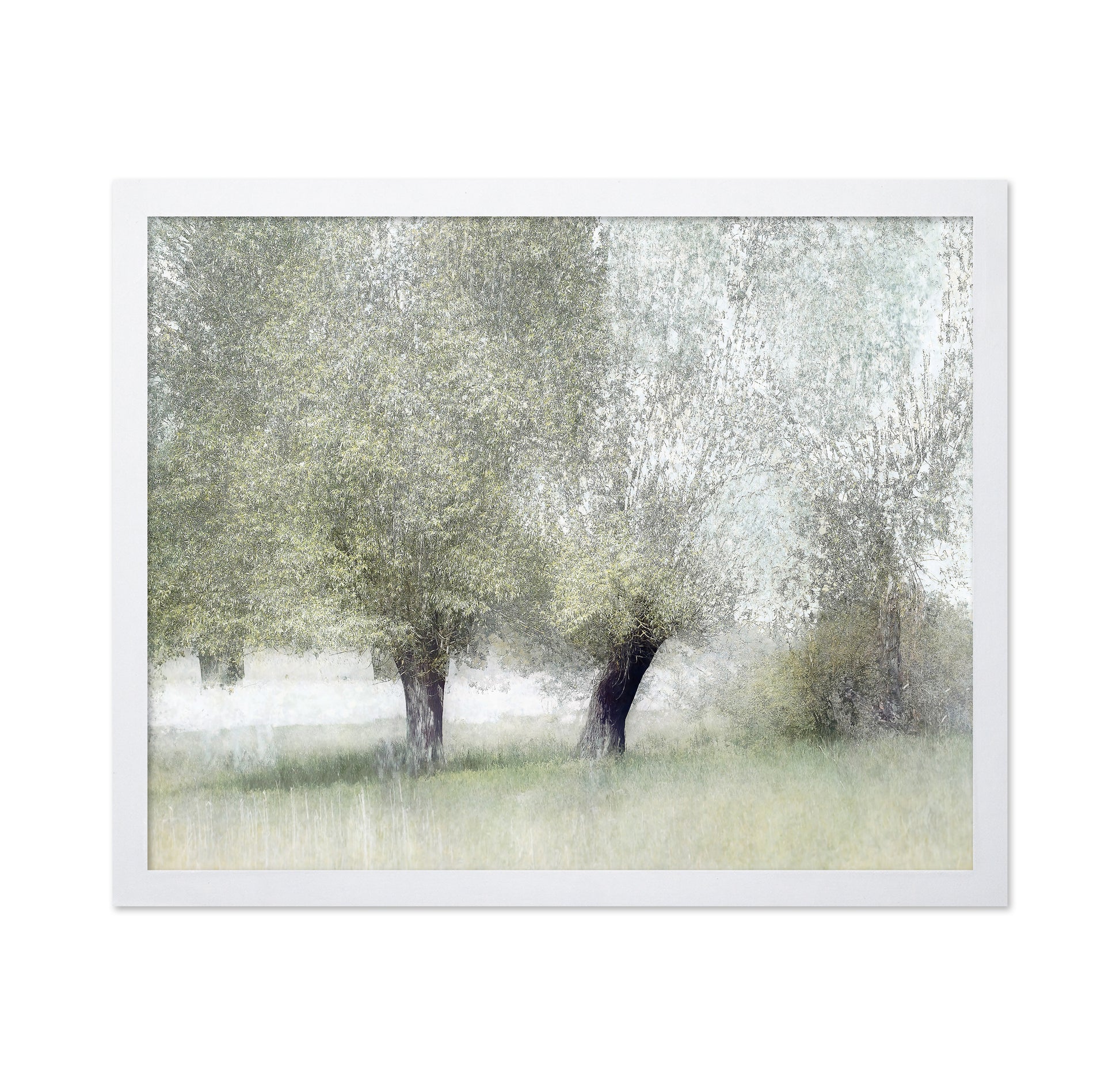 Soft Spring Trees