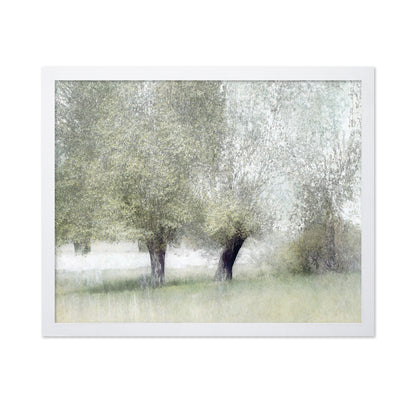 Soft Spring Trees