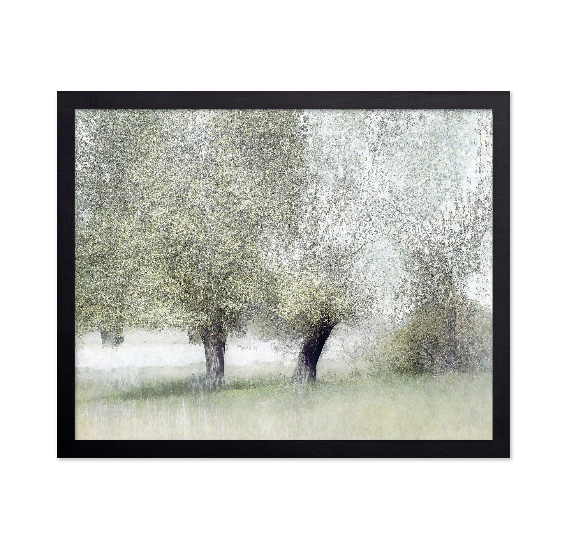 Soft Spring Trees
